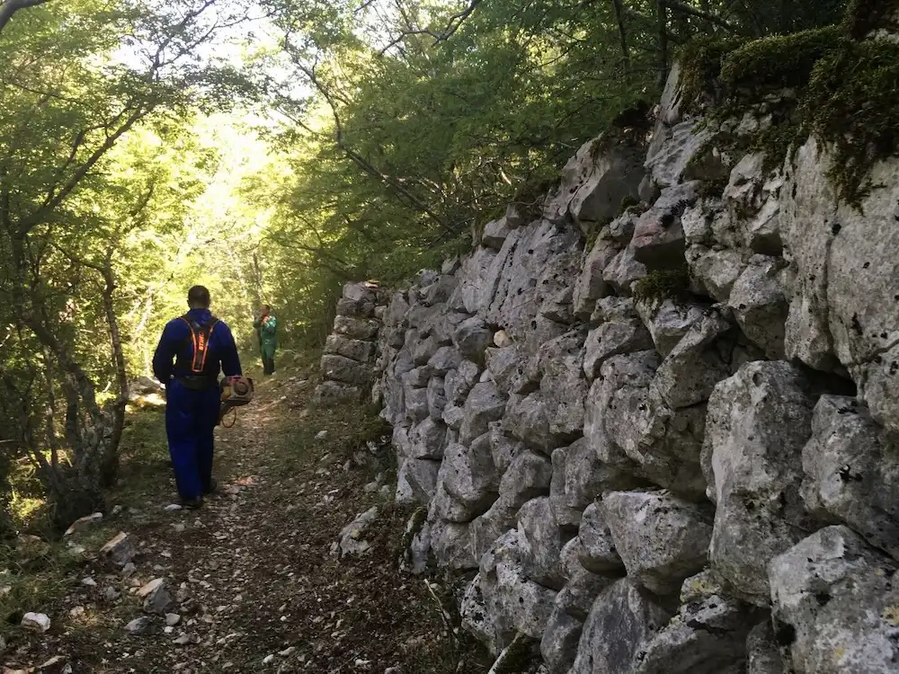 Radnici čiste povijesni put okružen suhozidom na brdu Kotor iznad Crikvenice.