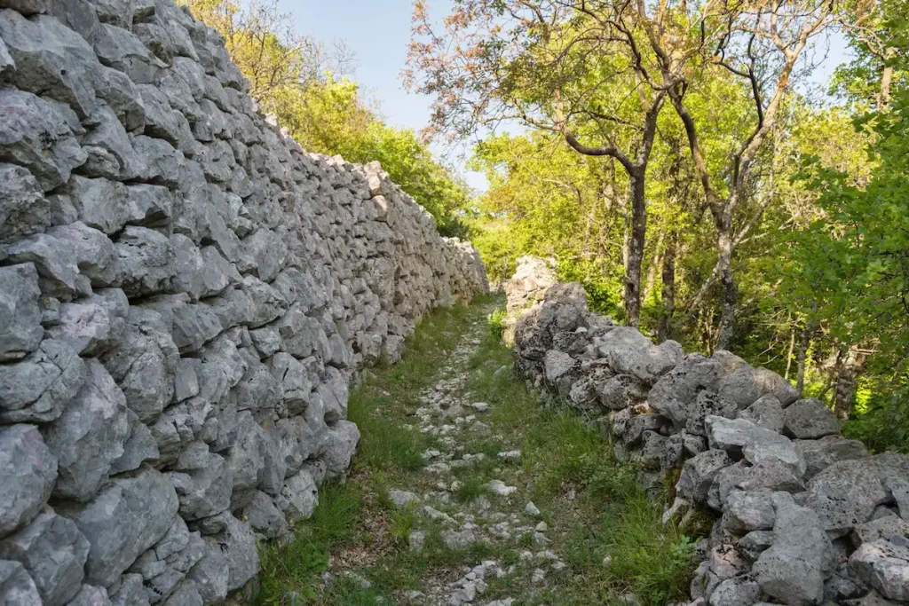 Revitalizirani stari put i tradicionalni kameni suhozid na brdu Kotor iznad Crikvenice